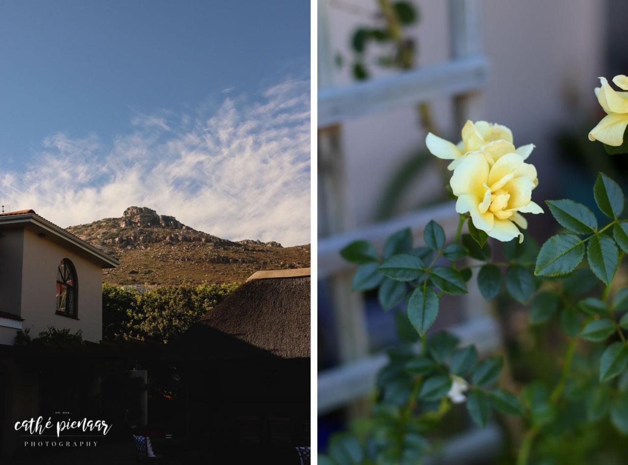 A Tuscan Villa Guest House 피시후크 외부 사진